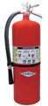 Amerex ABC 2.5 lb Dry Chemical Fire Extinguisher - B417