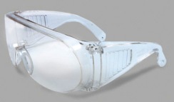 Radnor Visitor Safety Glasses